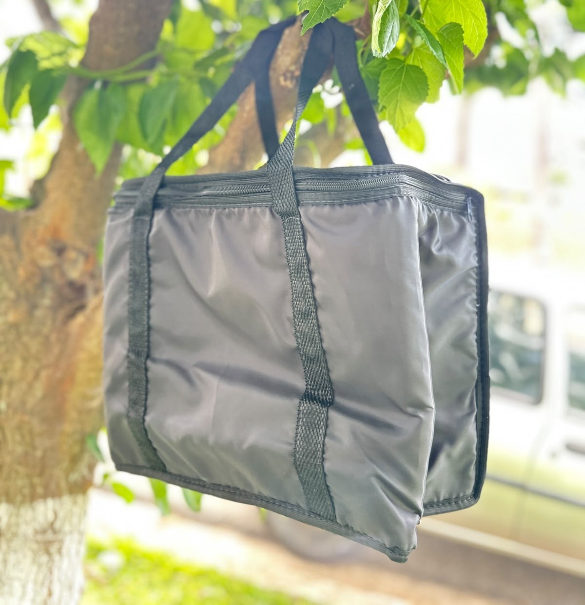 Bolsa Família